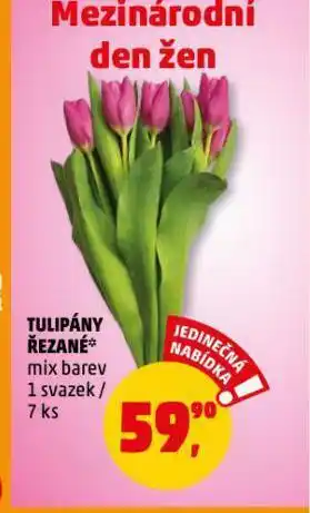 Penny Market Tulipány řezané nabídka