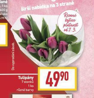 Billa Tulipány nabídka