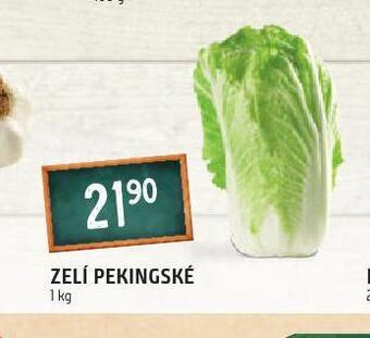 Terno Zelí pekingské nabídka