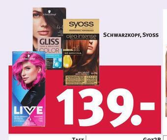 Rossmann Syoss barva na vlasy nabídka
