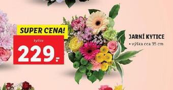 Lidl Jarní kytice nabídka