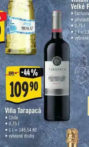 Jip Viňa tarapacá nabídka