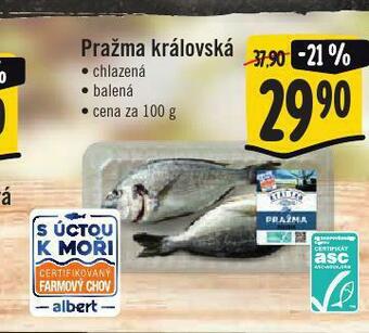 Jip Pražma královská nabídka