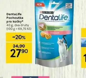 Tesco Xdentalife pochoutka pro kočky nabídka