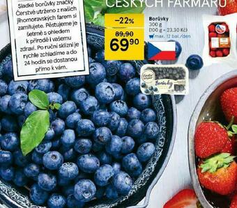 Tesco Borůvky nabídka