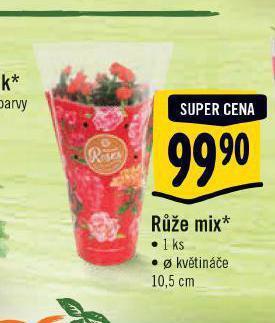 Albert Růže mix nabídka
