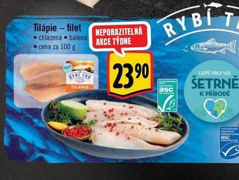 Albert Tilápie - filety nabídka