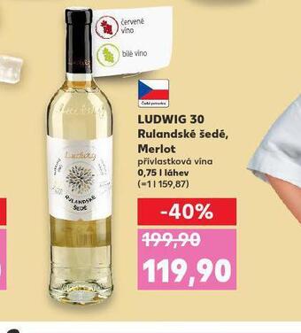 Kaufland Ludwig 30 rulandské šedé nabídka