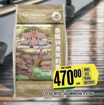 Tamda Foods Lotus rýže jasmínová 9,07kg 120251 nabídka
