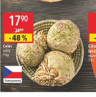 Globus Celer nabídka