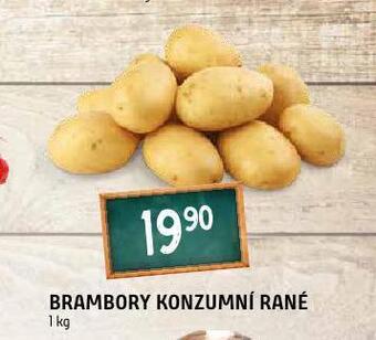 Terno Brambory konzumní rané nabídka