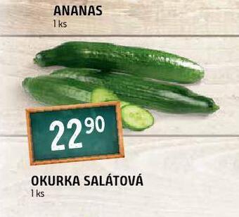 Terno Okurka salátová nabídka