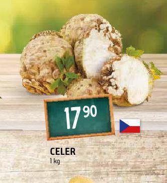 Terno Celer nabídka