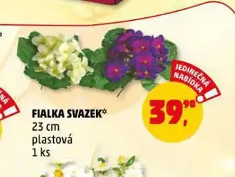 Penny Market Fialka svazek nabídka