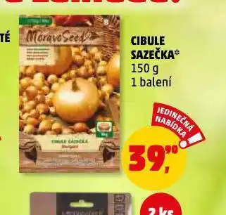 Penny Market Cibule sazečka nabídka