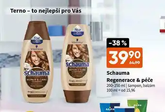 Terno Schauma šampon na vlasy nabídka