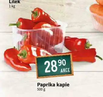Terno Paprika kapi nabídka