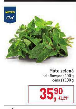 Makro Máta zelená nabídka