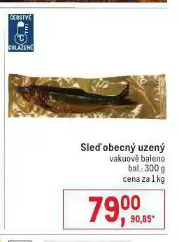 Makro Sleď obecný nabídka