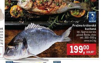 Makro Pražma královská nabídka
