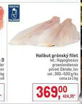 Makro Halibut grónský nabídka