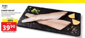 Lidl Candát obecný nabídka