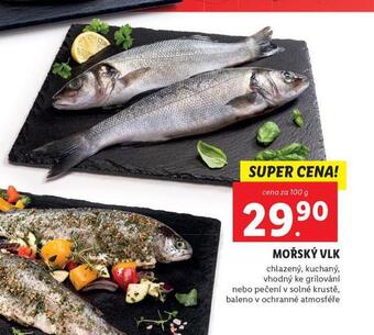 Lidl Mořský vlk nabídka