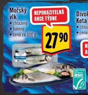 Albert Mořský vlk nabídka