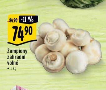 Albert Žampiony nabídka