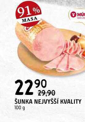 Terno Šunka nejvyšší kvality 100 g nabídka