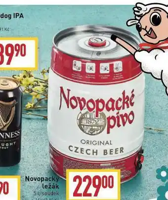 Billa Pivo novopacký ležák nabídka