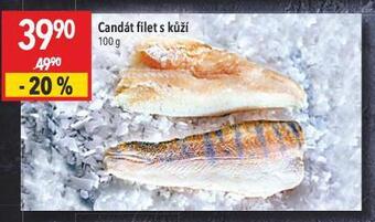 Globus Candát filet nabídka
