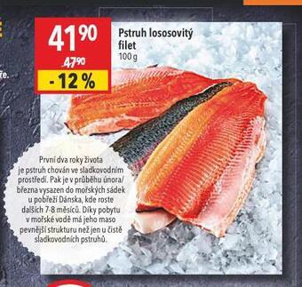 Pstruh lososovitý filet