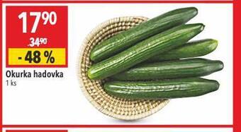 Globus Okurka hadovka nabídka