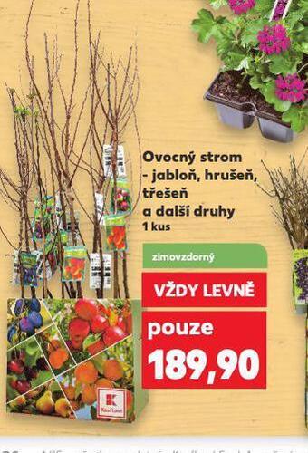 Ovocný strom - jabloň, hrušeň, třešeň