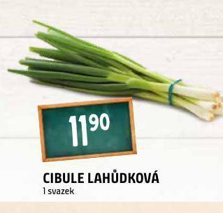 Terno Cibule lahůdková nabídka