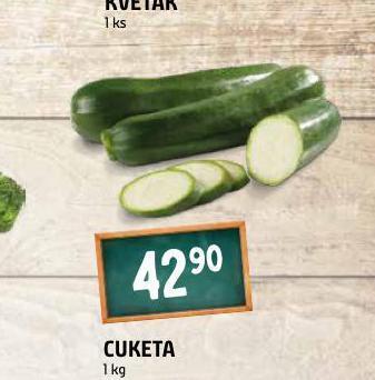 Terno Cuketa nabídka