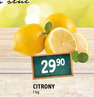Terno Citrony nabídka