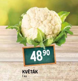 Terno Květák nabídka