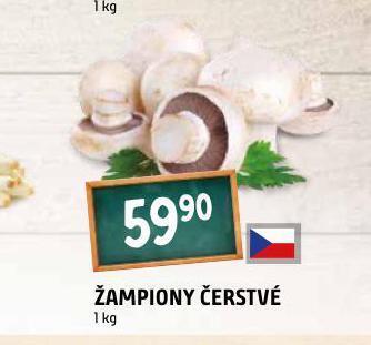 Terno Žampiony čerstvé nabídka