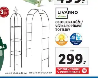 Lidl Věž na popínavé rostliny nabídka