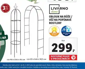 Lidl Oblouk na růže nabídka