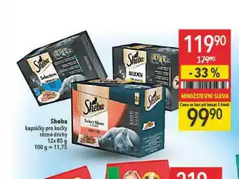 Globus Sheba kapsička pro kočky nabídka
