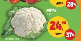 Penny Market Květák nabídka