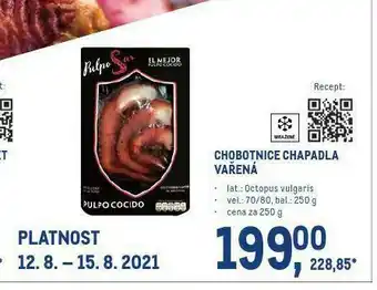 Makro Chobotnice chapadla nabídka