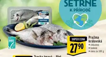 Albert Pražma královská 100g nabídka