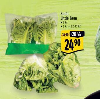 Albert Salát little gem nabídka