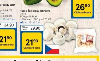 Tesco Žampiony zahradní nabídka