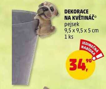 Penny Market Dekorace na květináč, 1 ks nabídka