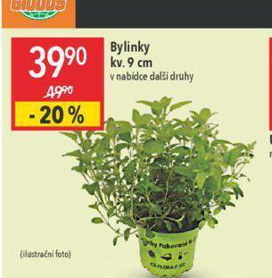 Globus Bylinky nabídka
